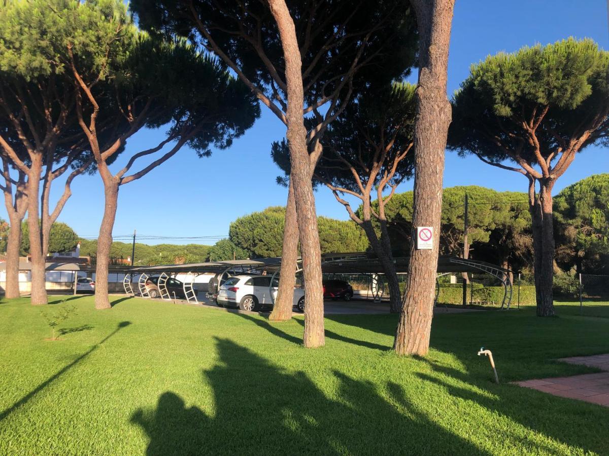 Calma La Barrosa Apartamento Chiclana de la Frontera Eksteriør billede